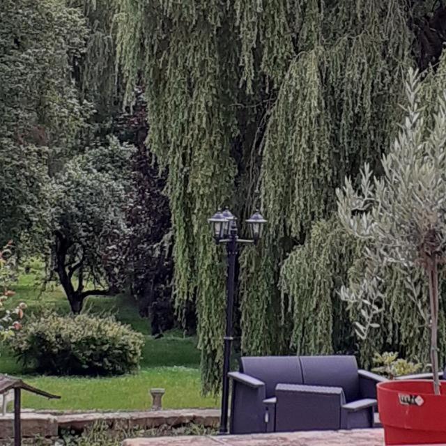 Le Domaine D'Elise Chambres Et Table D'Hotes - Vosges Saint-Ouen-les-Parey Εξωτερικό φωτογραφία